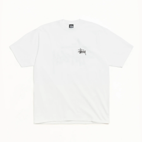 送料無料 stussy ステューシー メンズ レディース Tシャツ 半袖